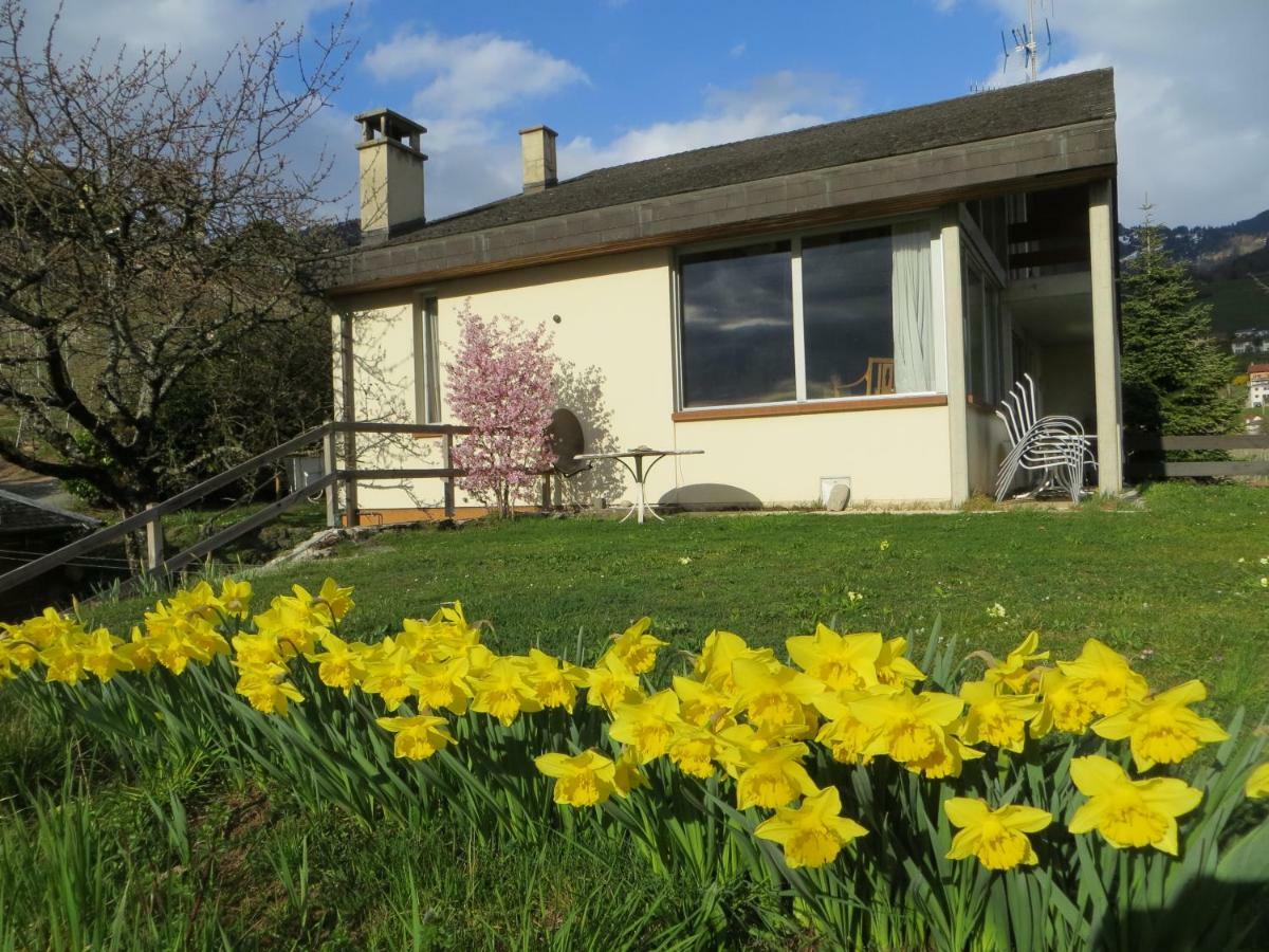 Villa Maison Familiale A Montreux Avec Vue Sur Le Lac Exterior foto