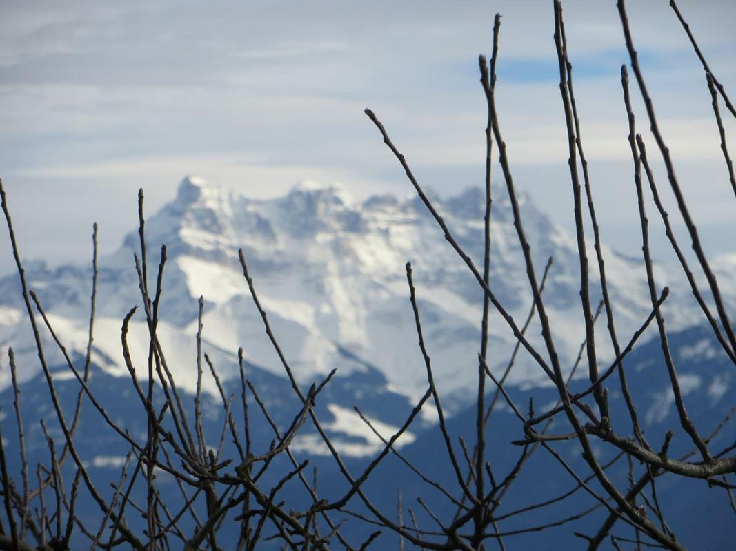 Villa Maison Familiale A Montreux Avec Vue Sur Le Lac Exterior foto