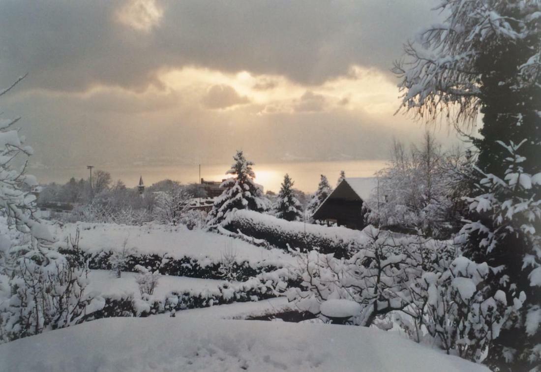 Villa Maison Familiale A Montreux Avec Vue Sur Le Lac Exterior foto