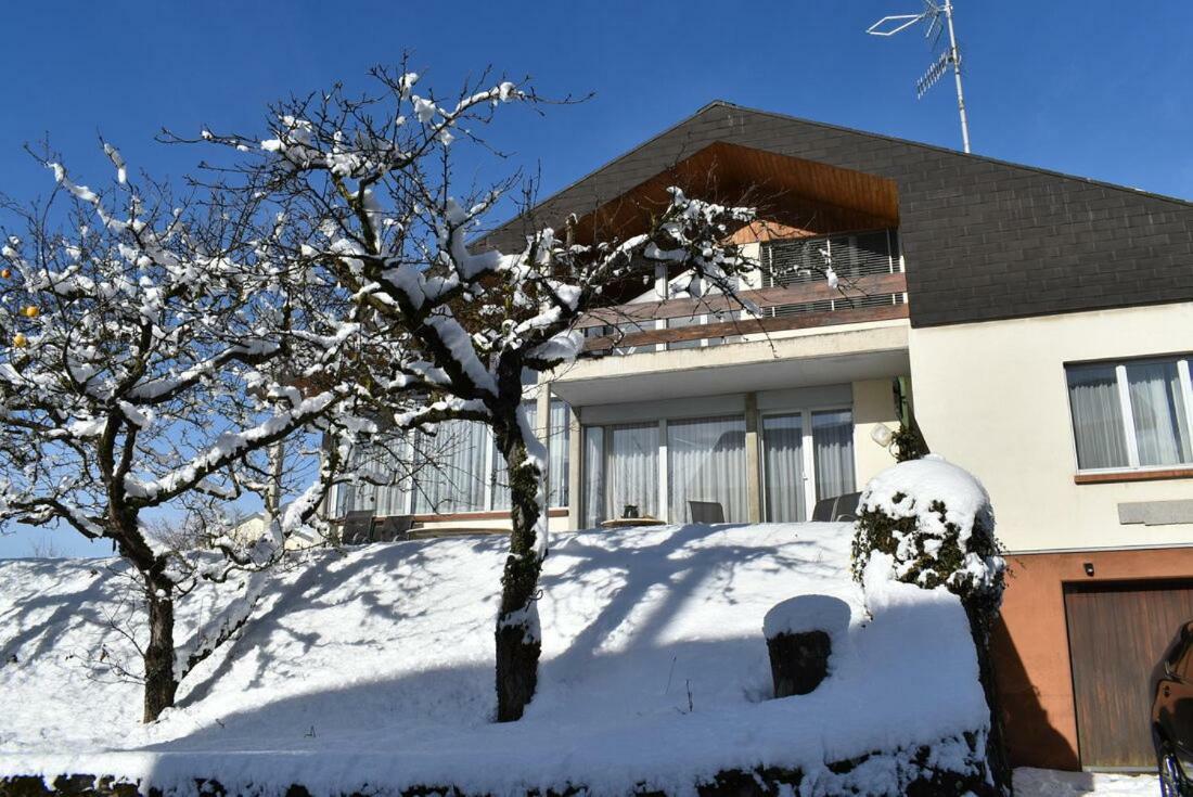 Villa Maison Familiale A Montreux Avec Vue Sur Le Lac Exterior foto