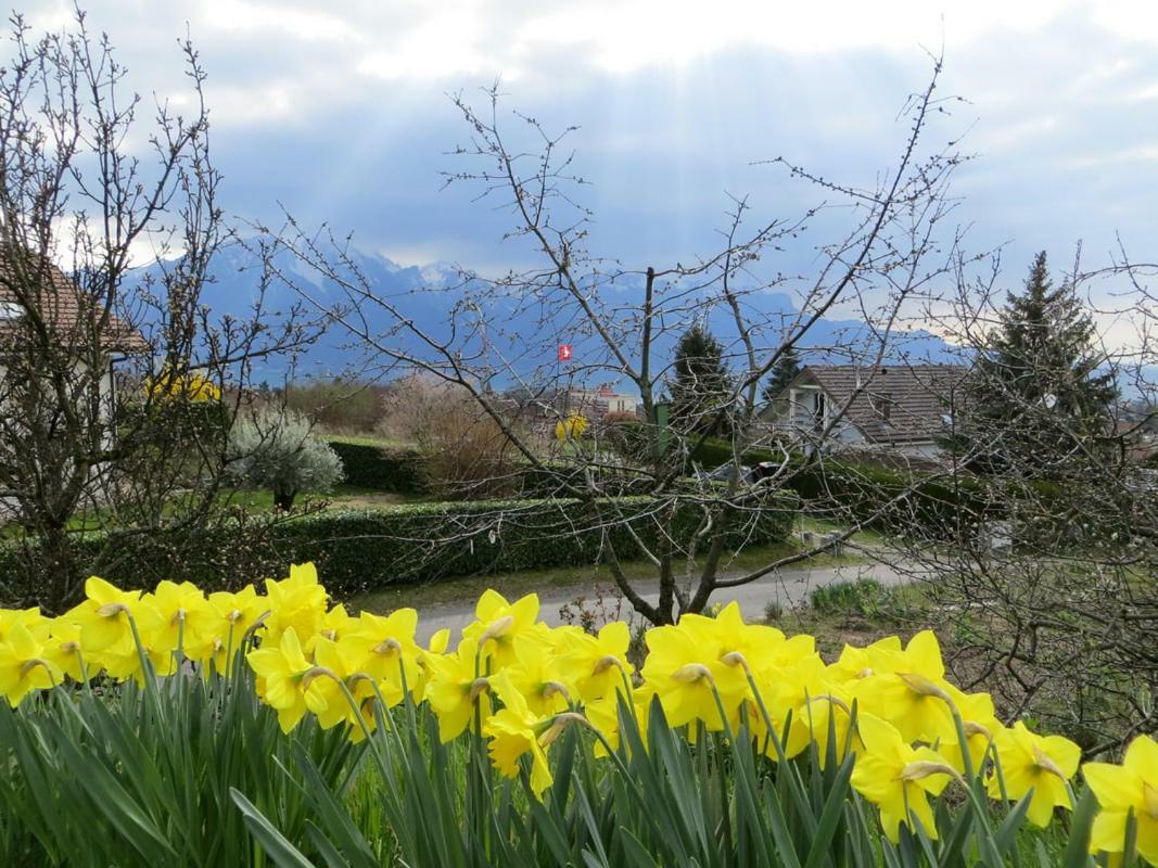 Villa Maison Familiale A Montreux Avec Vue Sur Le Lac Exterior foto