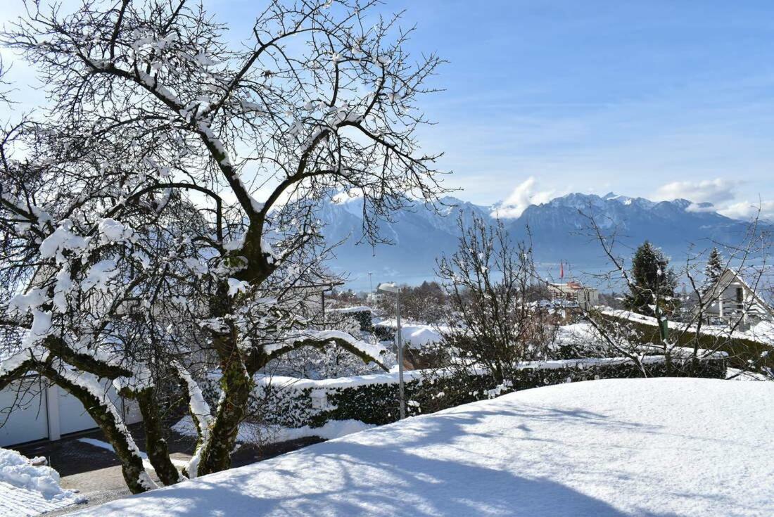 Villa Maison Familiale A Montreux Avec Vue Sur Le Lac Exterior foto