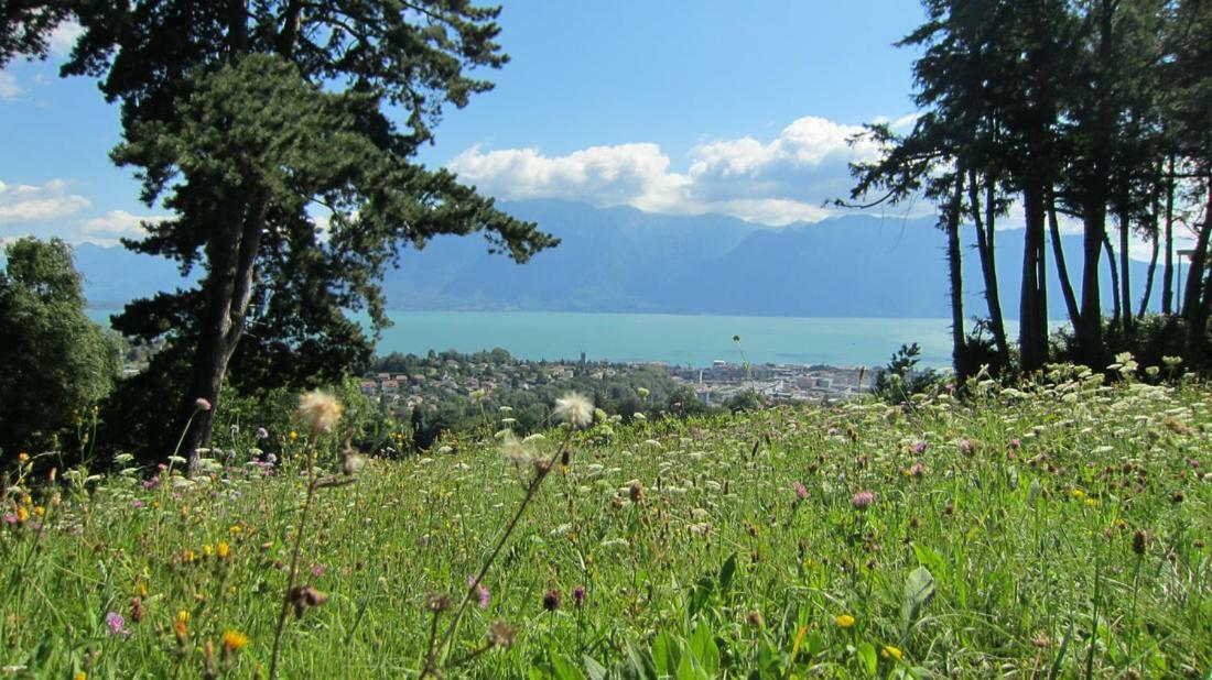 Villa Maison Familiale A Montreux Avec Vue Sur Le Lac Exterior foto