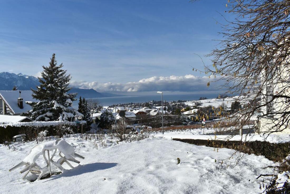 Villa Maison Familiale A Montreux Avec Vue Sur Le Lac Exterior foto