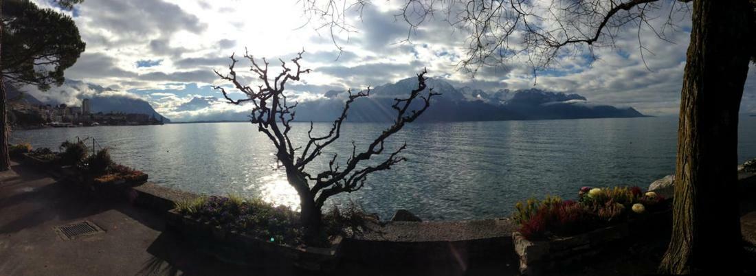 Villa Maison Familiale A Montreux Avec Vue Sur Le Lac Exterior foto