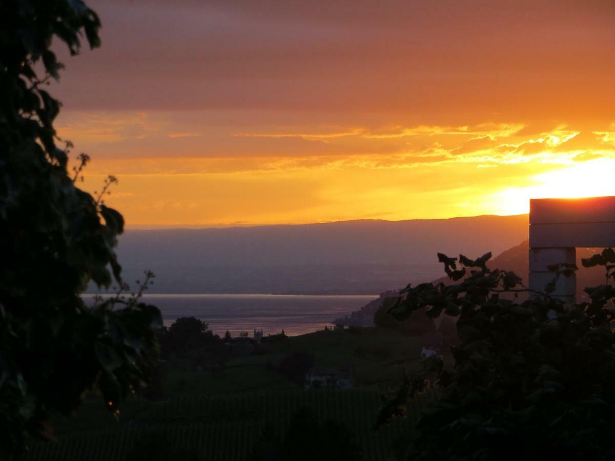 Villa Maison Familiale A Montreux Avec Vue Sur Le Lac Exterior foto